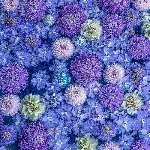  دیگه خبری از مامور گشت نی بهشتی شدی خوش به حالت